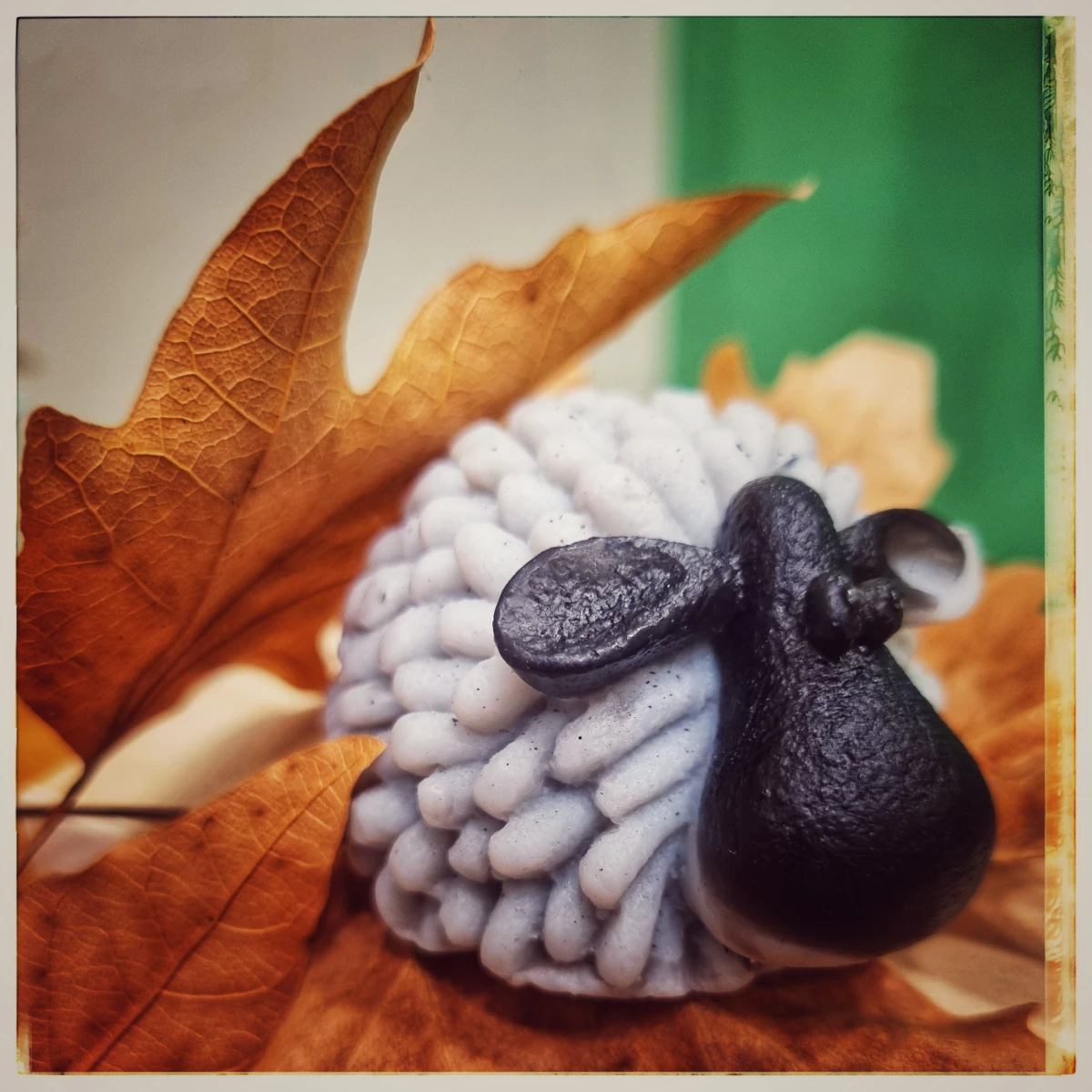 Scented Sheep Soaps
