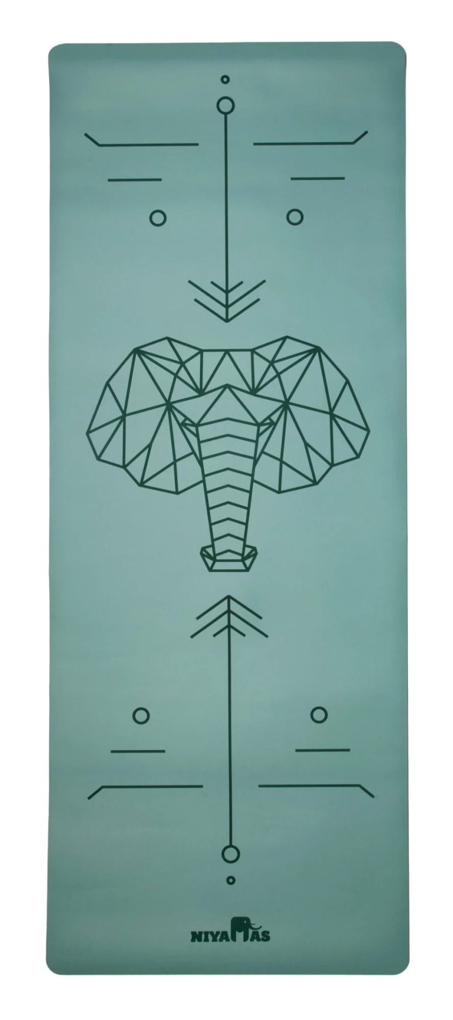 Στρώμα Γιόγκα Pro Yoga Mat Gaja Pastel Green (183x68x0.5cm) με Ιμάντα Μεταφοράς