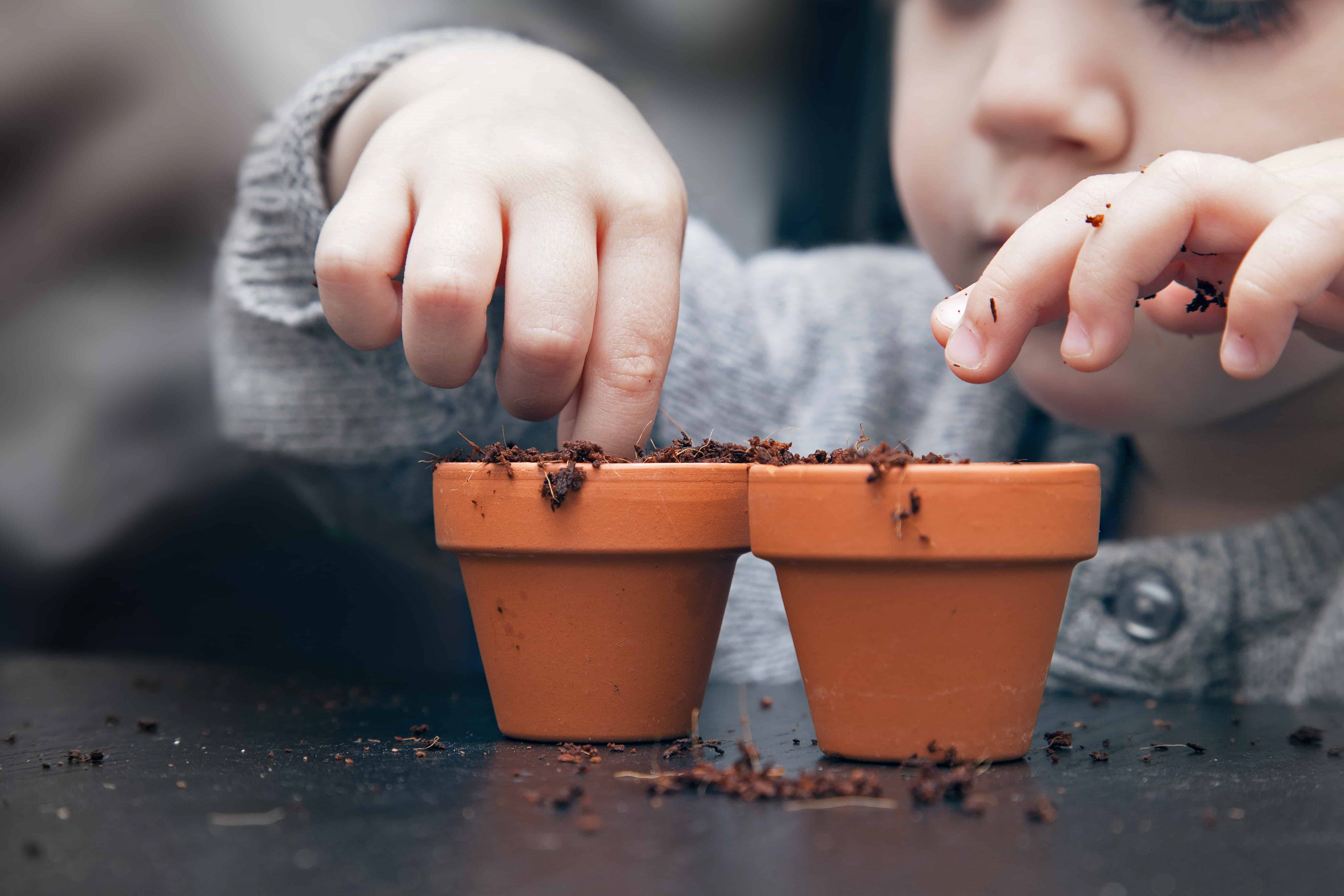 Gardening for kids with Pots & Plants by b2mt