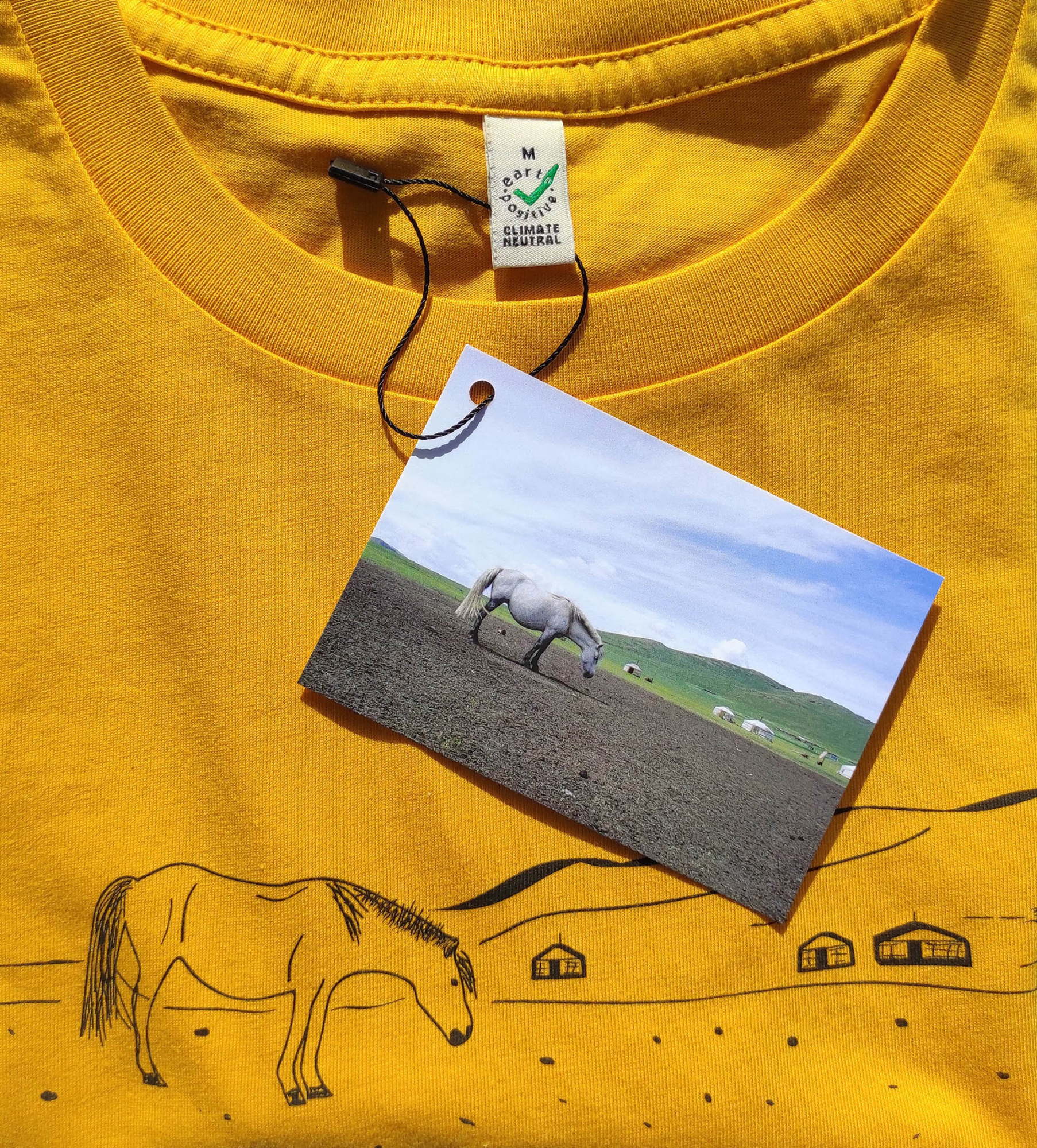 EXPLORE – Burnt Yellow / T20