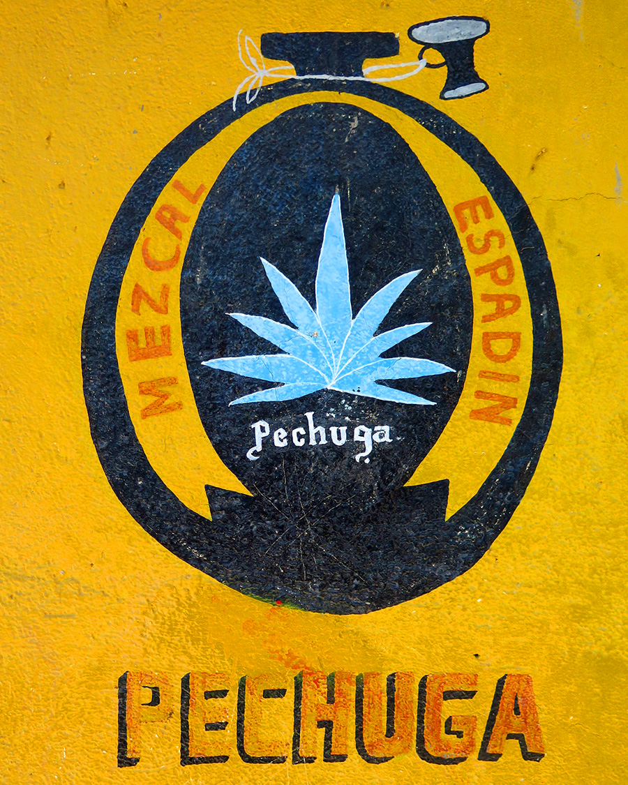 MEZCAL – Burnt Yellow / T29
