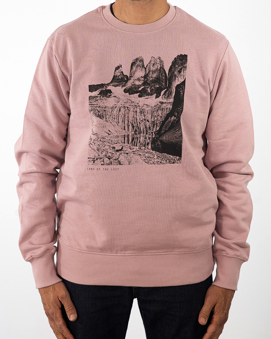 LAND OF THE LOST - Purple Rose / SW02
