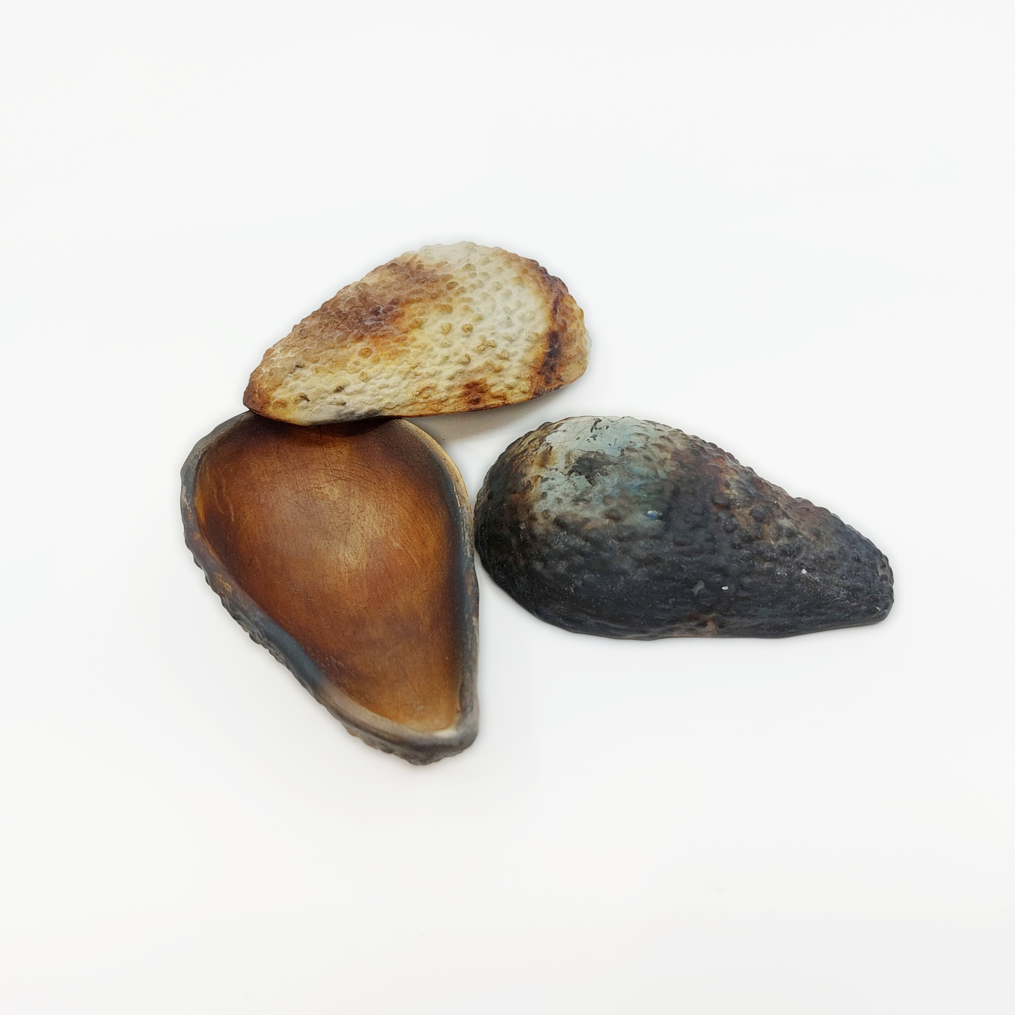 Avocado skin // Ornamental ceramics