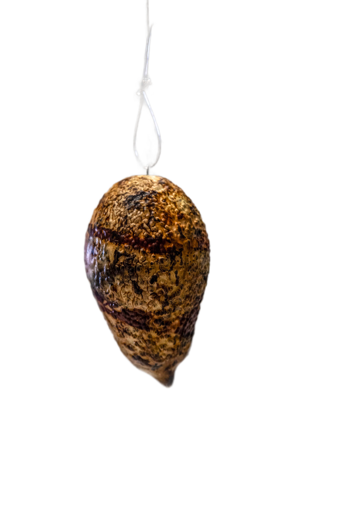 Avocado fruit // Ornamental - Utilitary ceramics // Earthenware - Stoneware -Porcelain