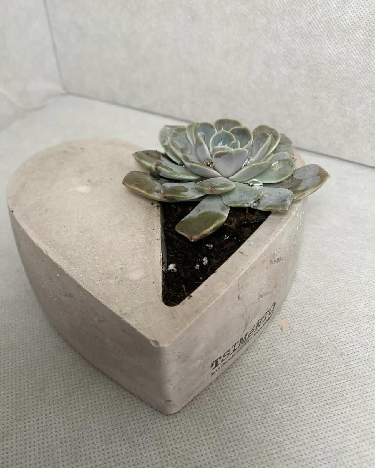 Κασπώ σε σχήμα καρδιάς