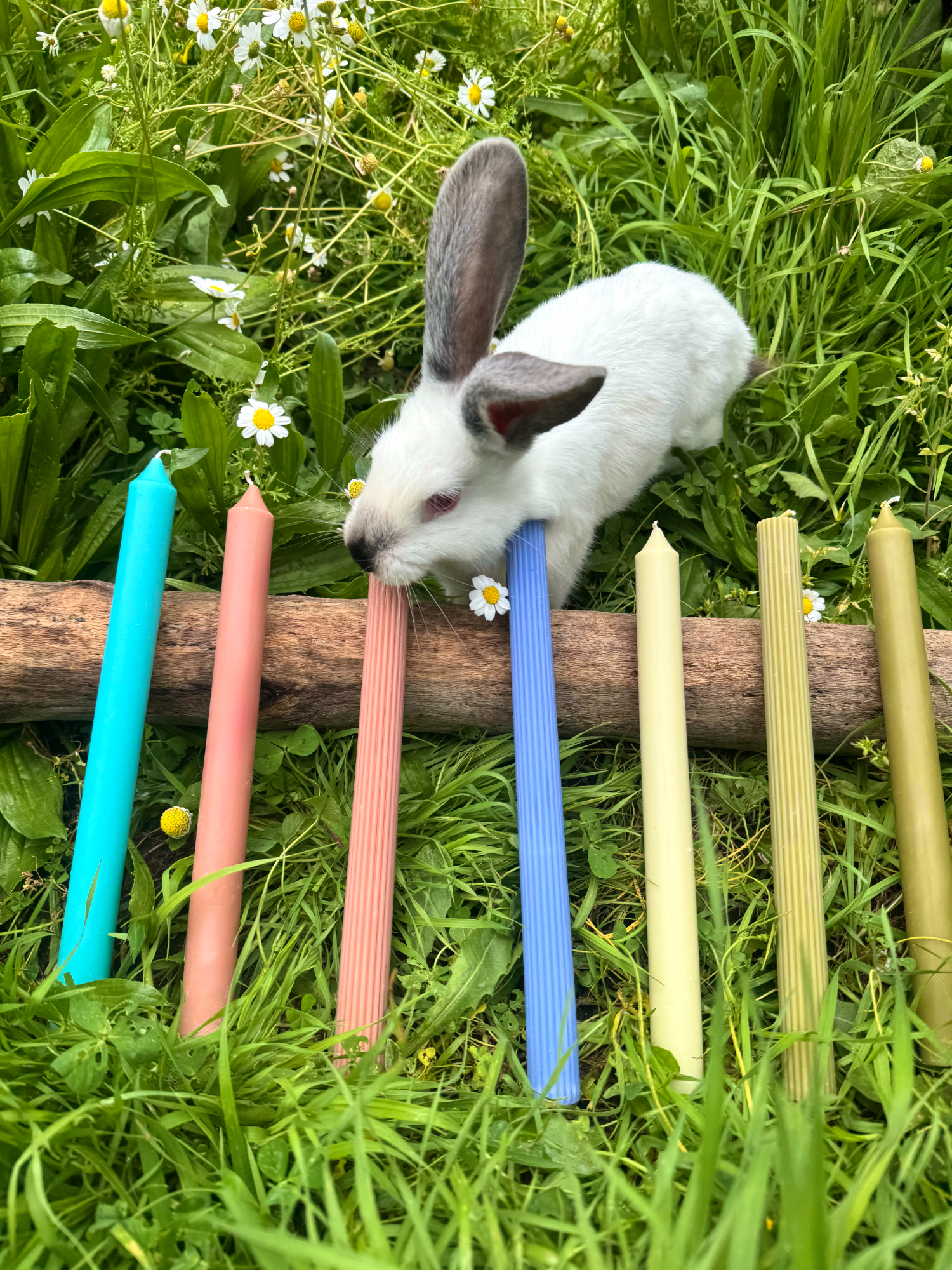 Λαμπάδα από κερί ελαιολάδου