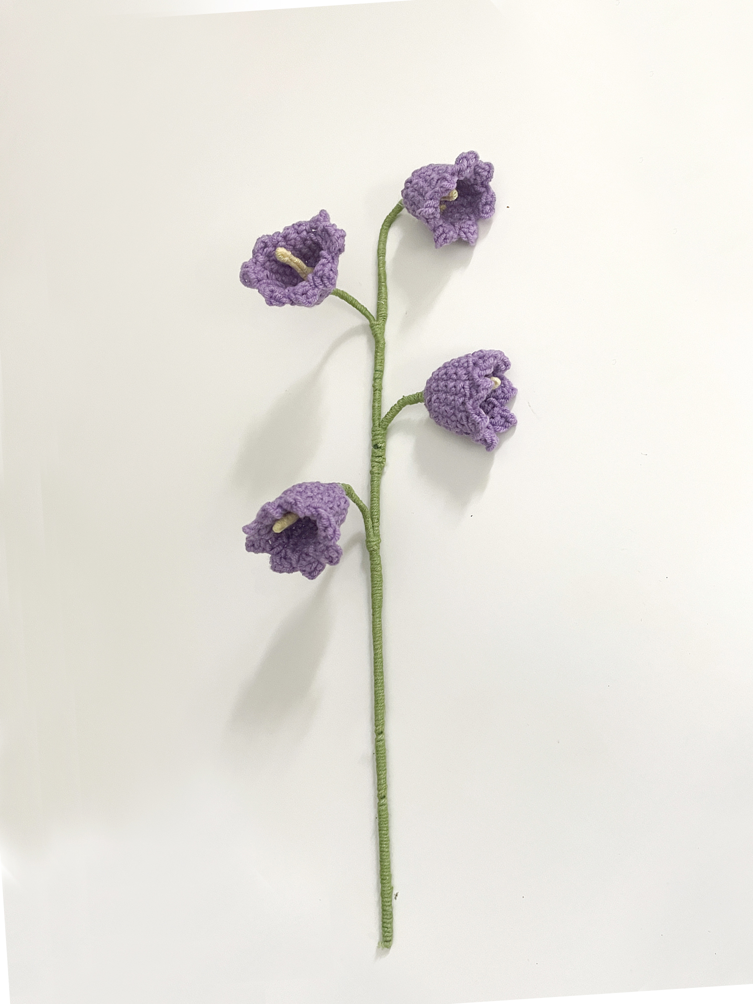 Καμπανούλα