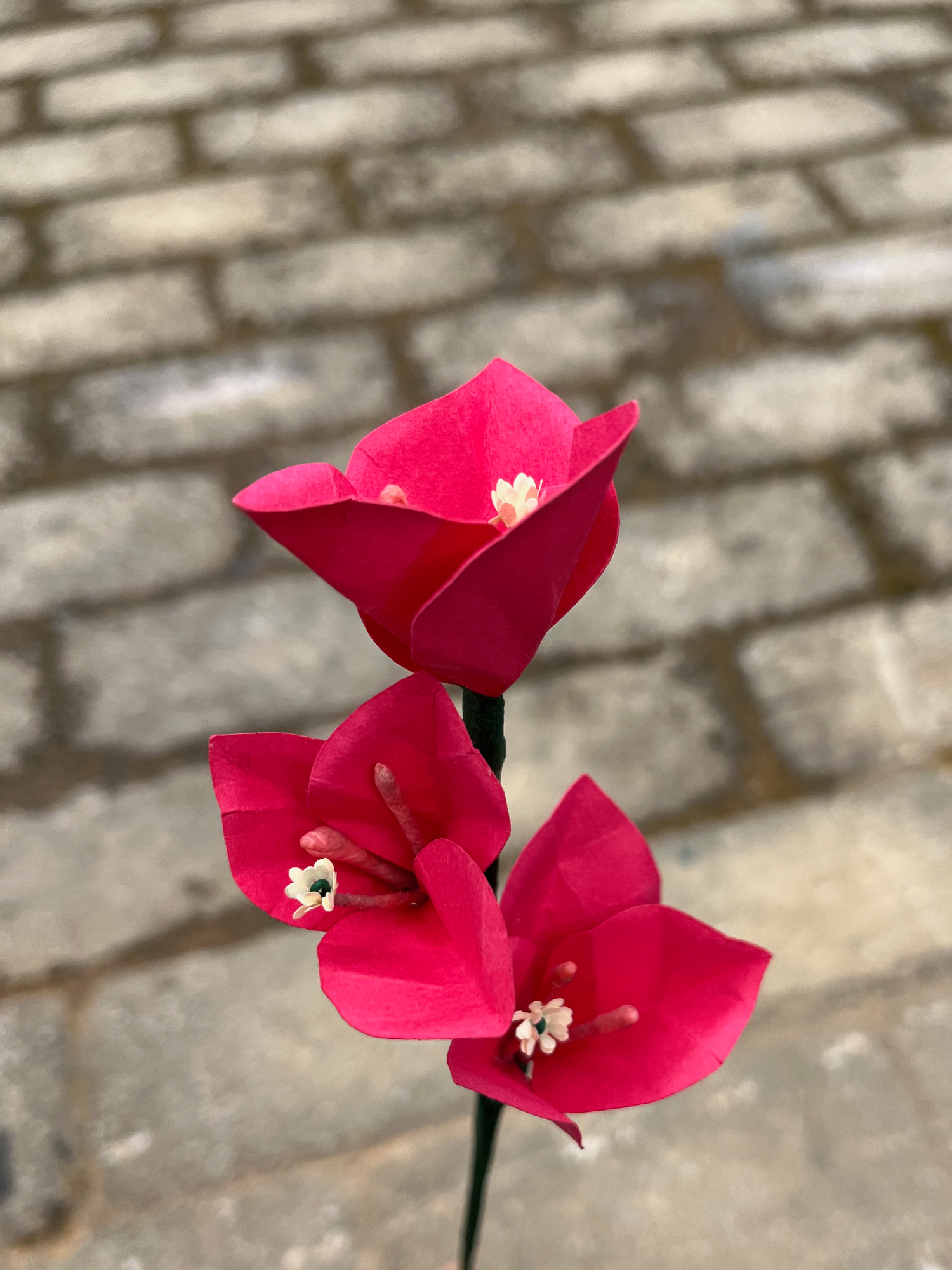Paper Bougainvillea Stem
