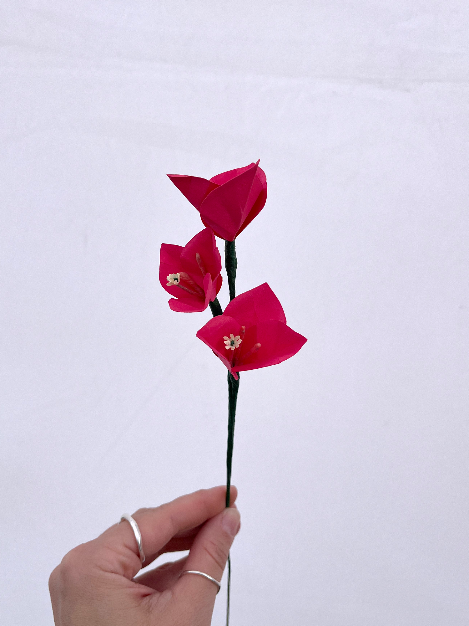 Paper Bougainvillea Stem