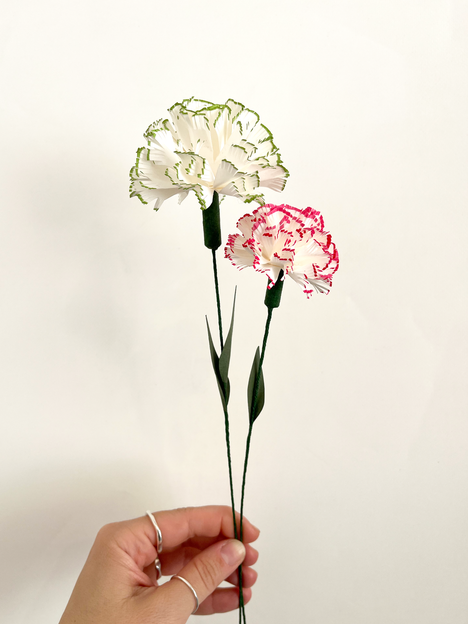 Hand-Painted Paper Carnations
