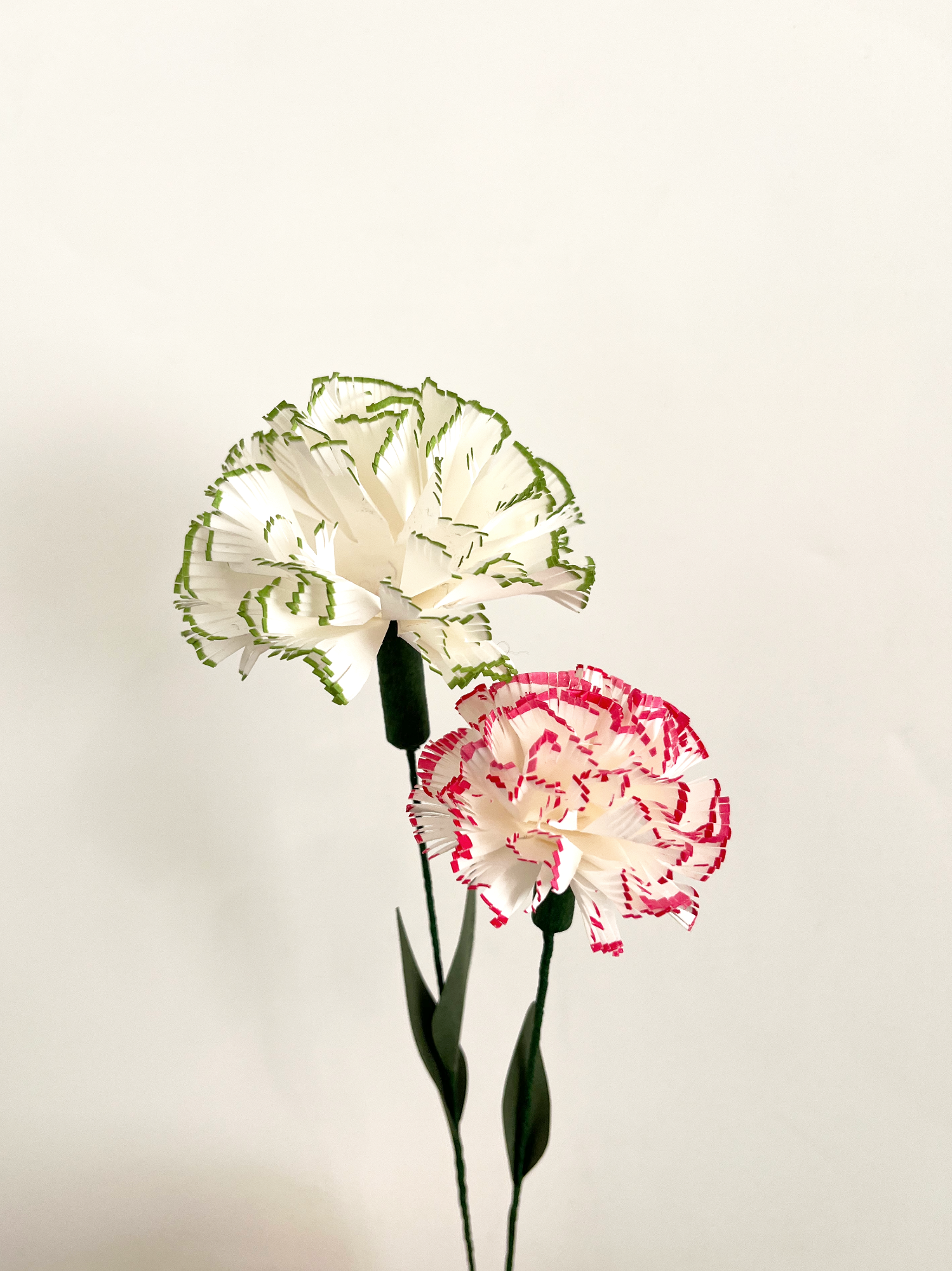 Hand-Painted Paper Carnations