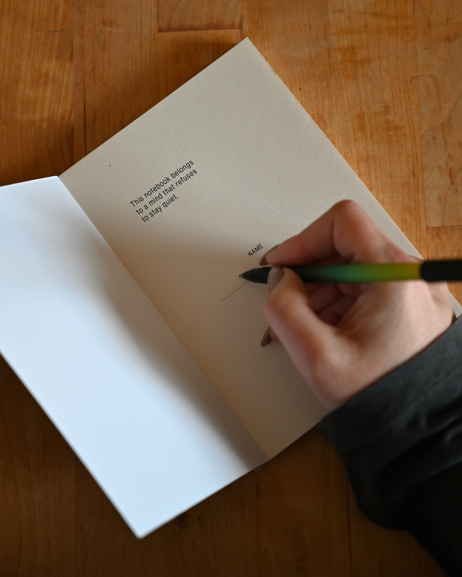 Insects - Art Notebooks