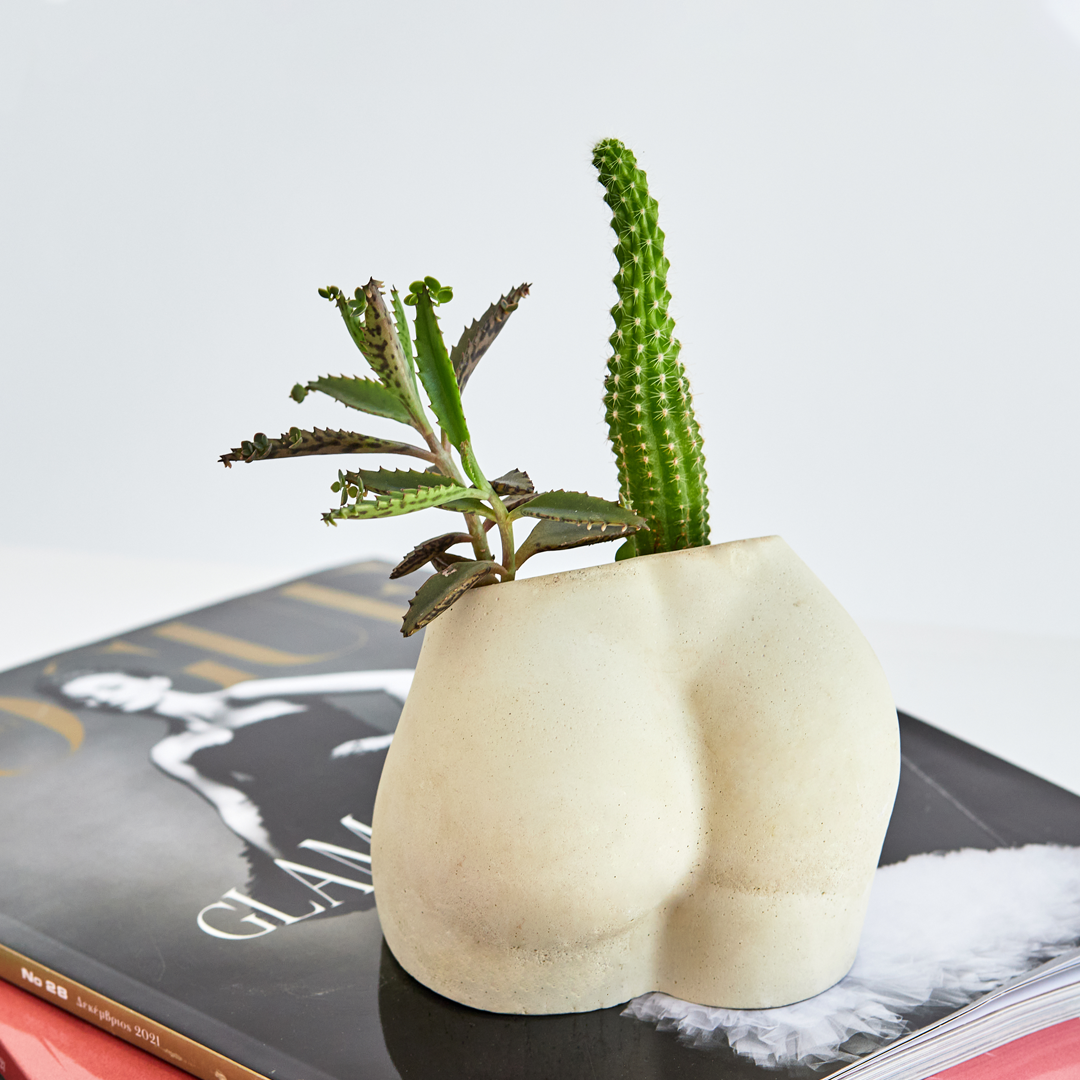 Γυναικείες καμπύλες
