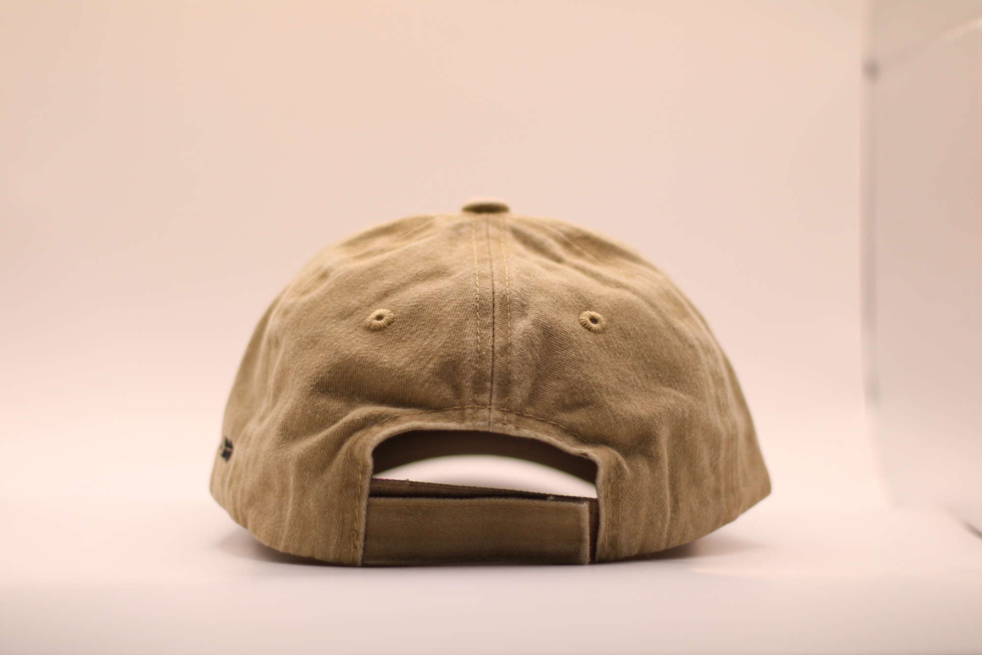 Episaurus jockey cap