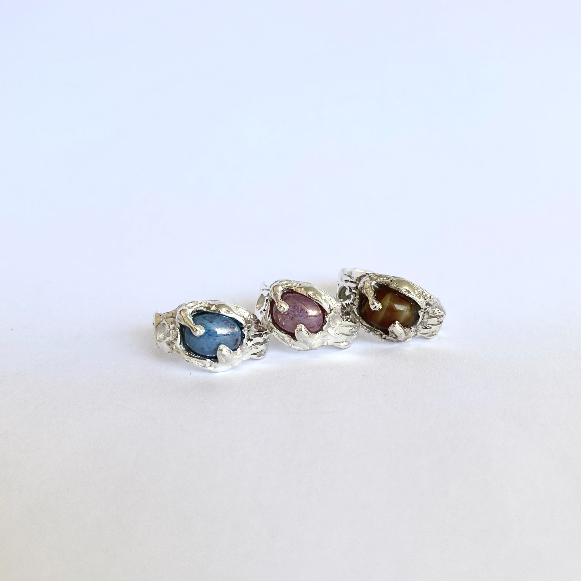 Zamia ring