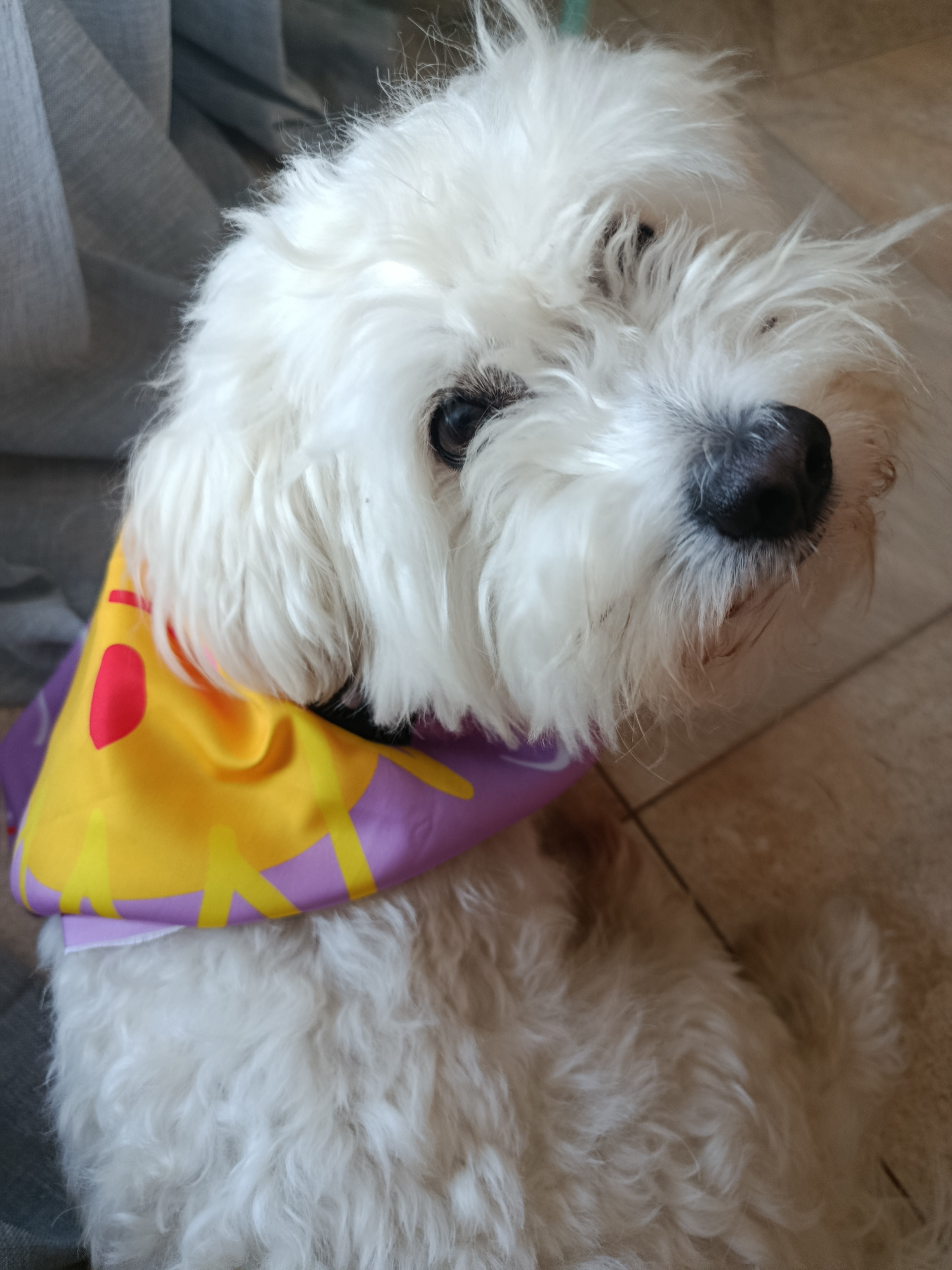 SCARVES OR BANDANAS?