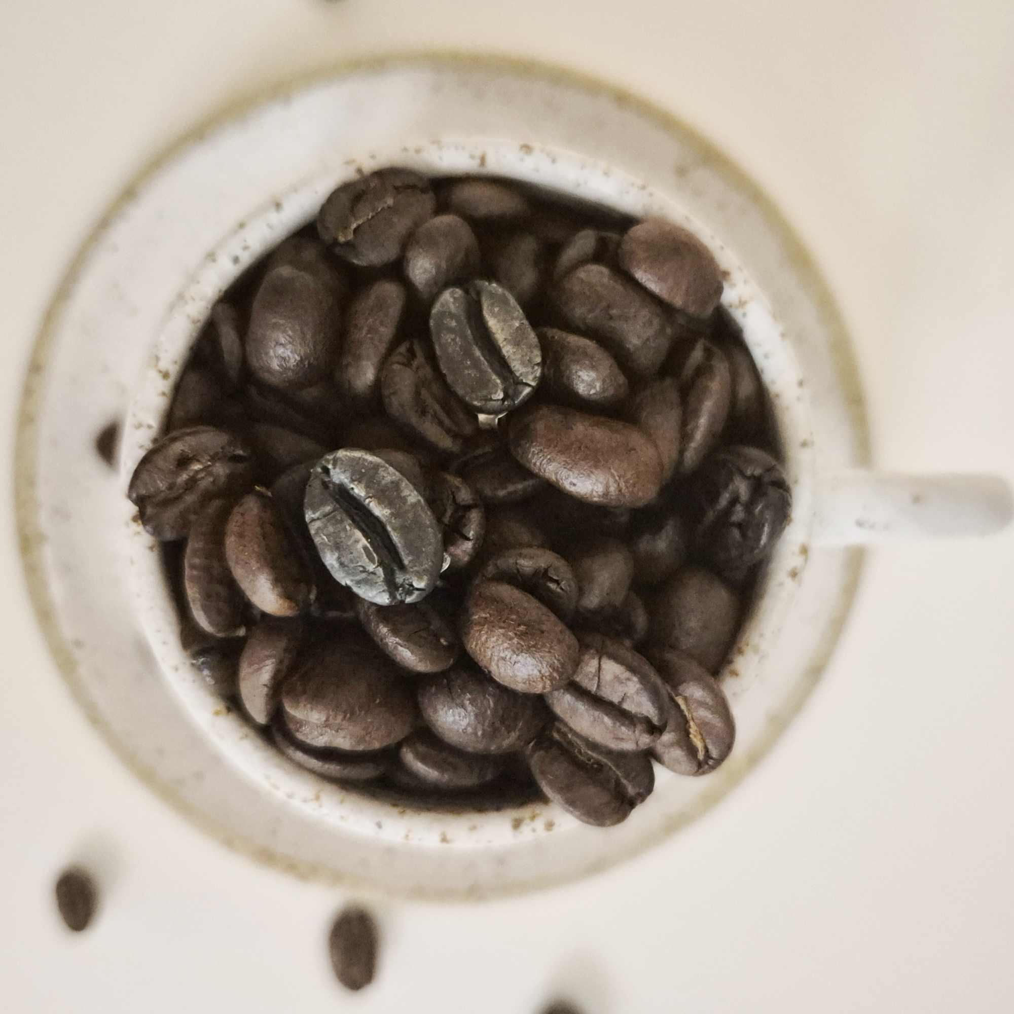 Coffee Bean Sterling Silver Stud Earrings