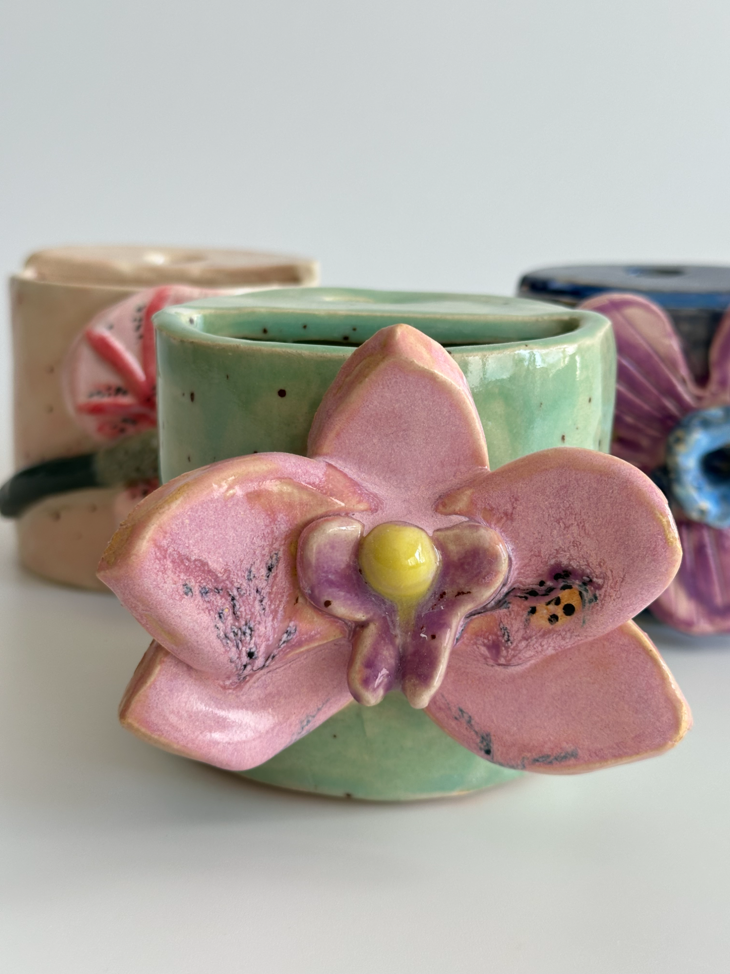 Orchid - Freddo Cup