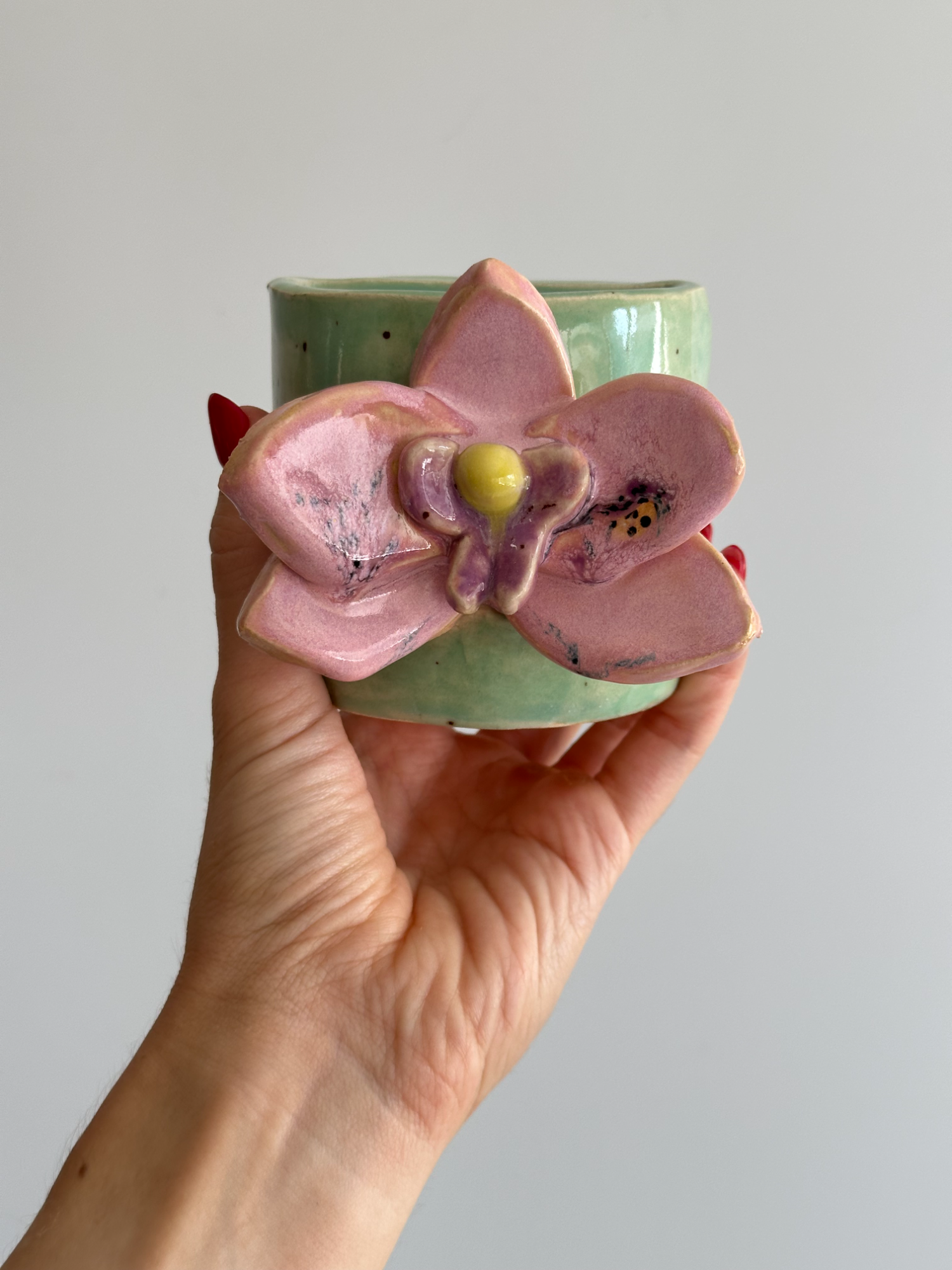 Orchid - Freddo Cup