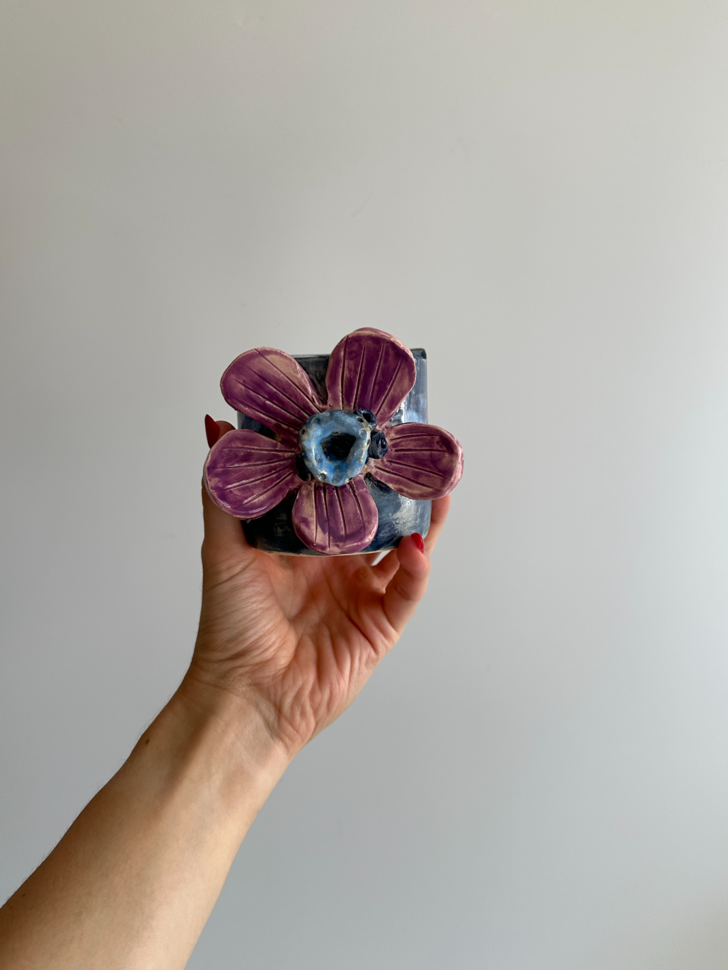 Anemone - Freddo Cup