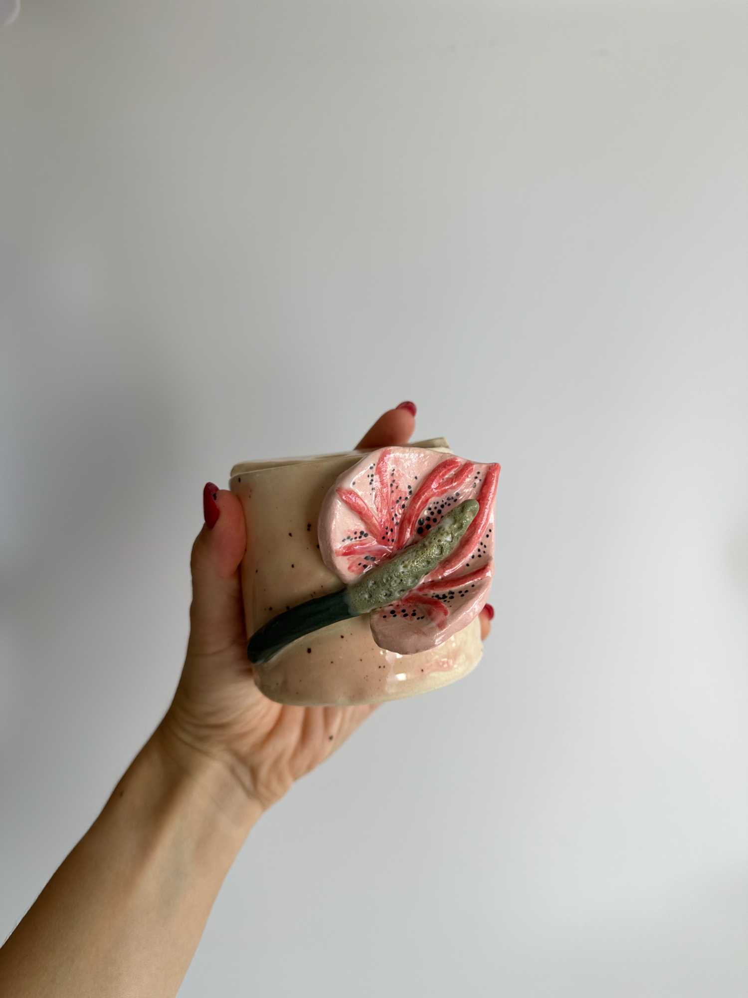 Anthurium - Freddo Cup