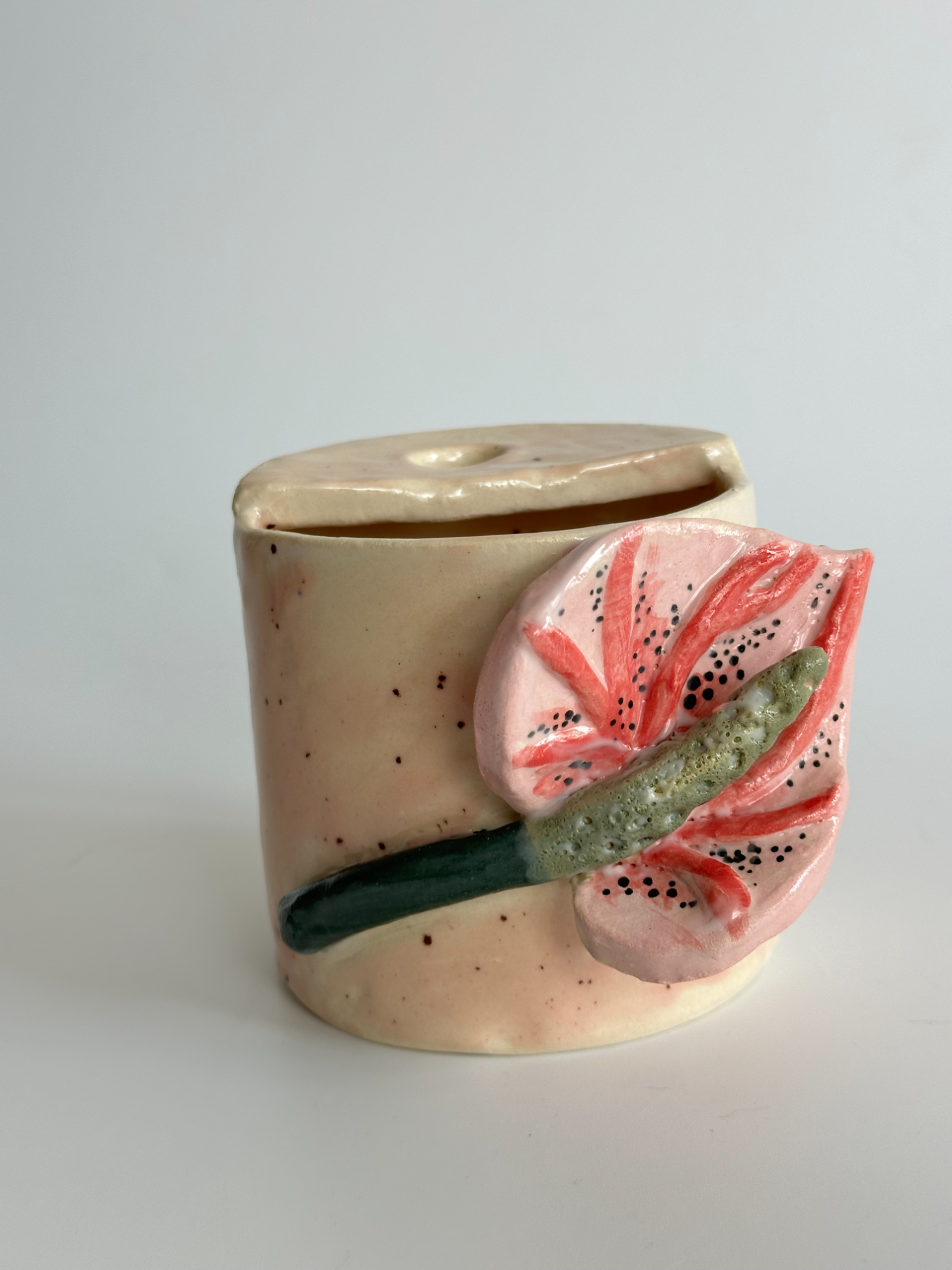 Anthurium - Freddo Cup