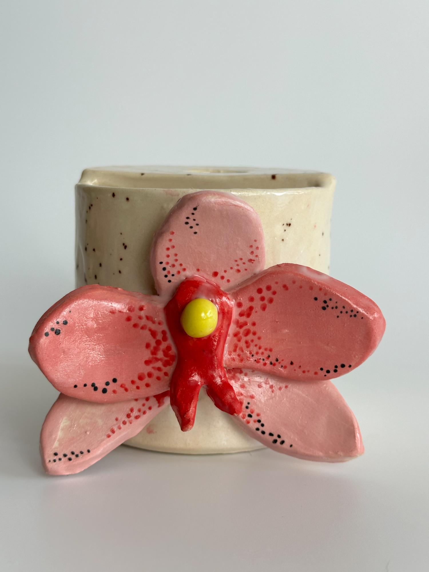 Orchid II - Freddo Cup