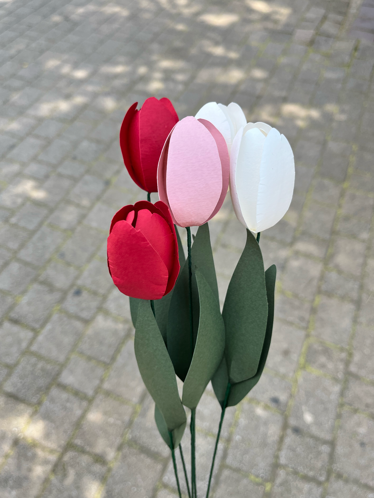 Paper Tulip