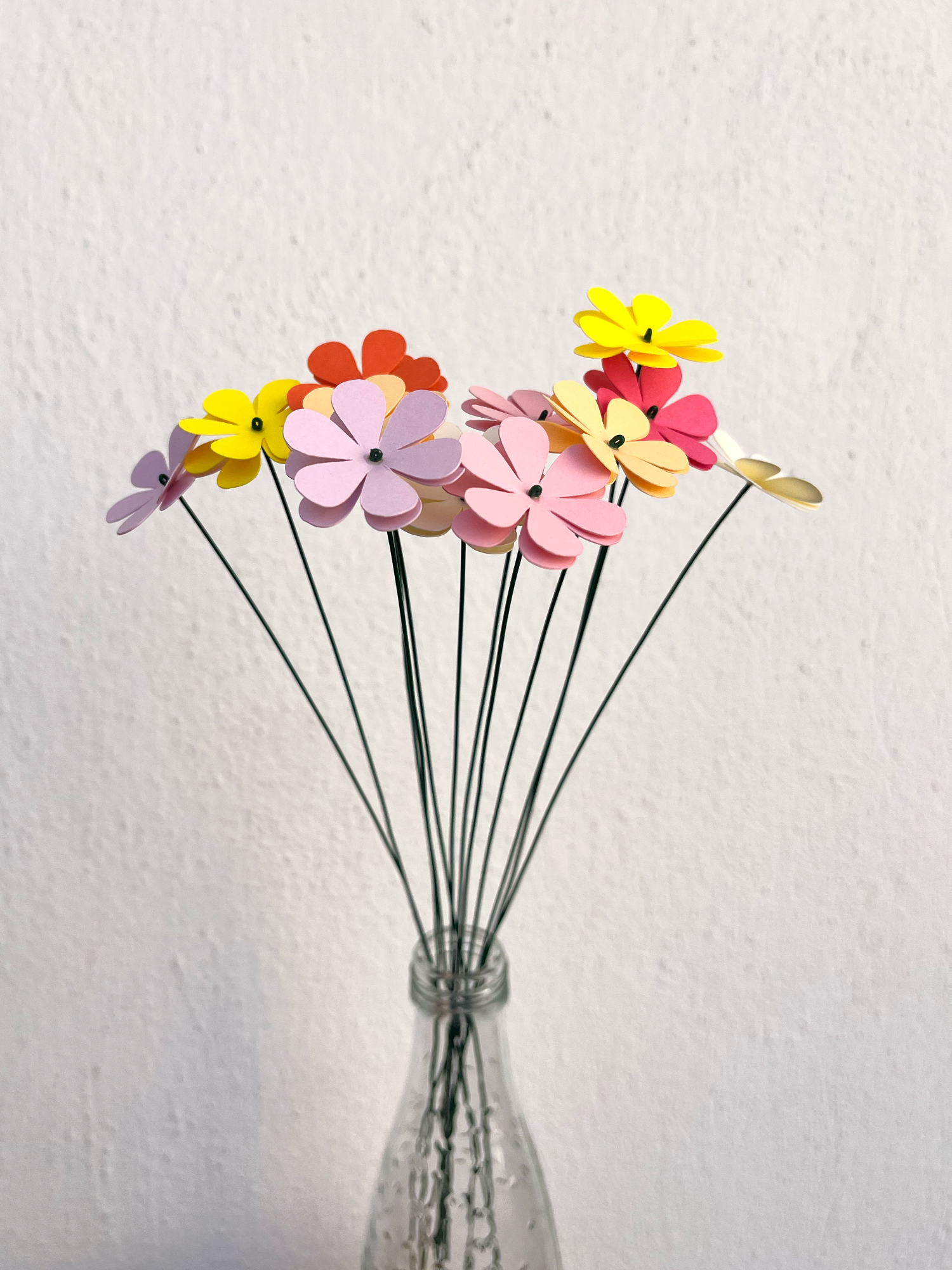 Bundle of Paper Primulas