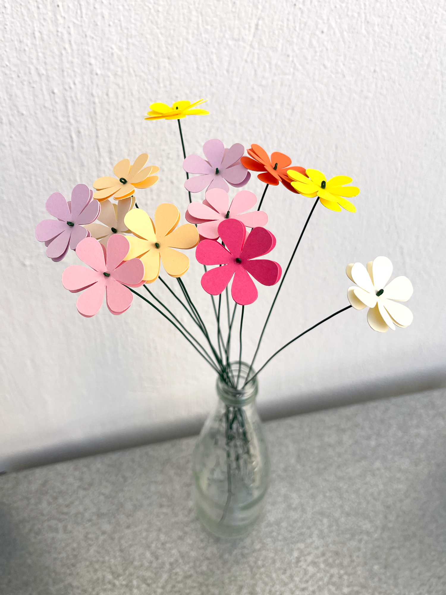 Bundle of Paper Primulas