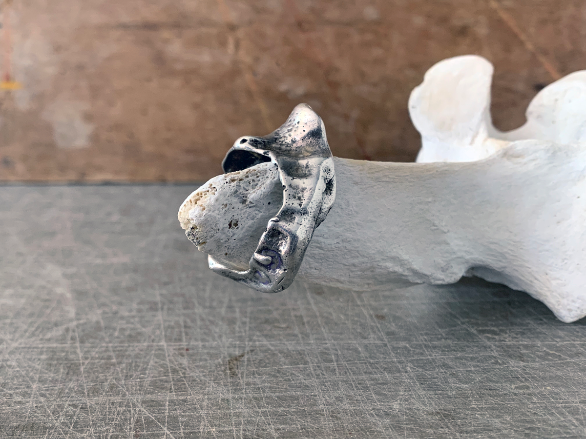 Kedrodasos Silver Shell Ring