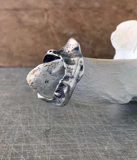 Kedrodasos Silver Shell Ring