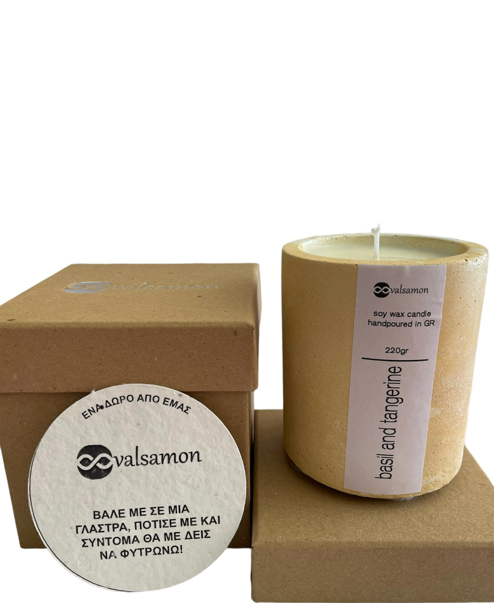 Αρωματικό κερί με σπόρους άγριων λουλουδιών σε τσιμεντένιο γλαστράκι