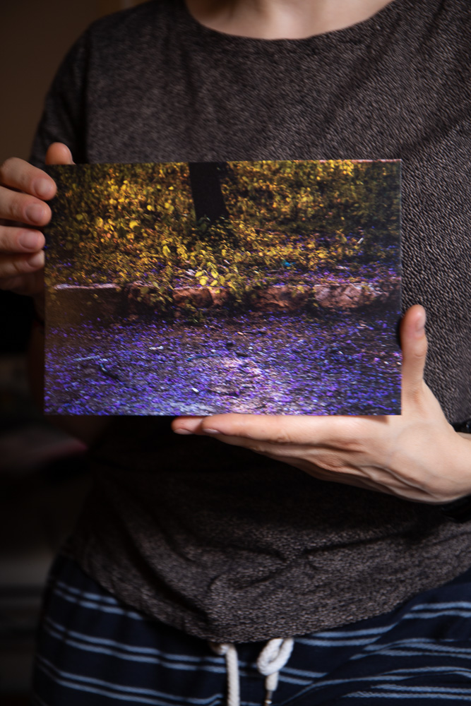 Nature wall art, Photography Print, Forest print, nature lover gift, small poster, art print, autumn leaves print, fall nature photo prints