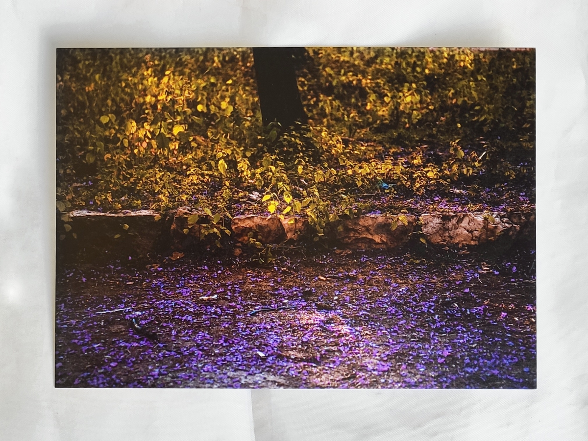 Nature wall art, Photography Print, Forest print, nature lover gift, small poster, art print, autumn leaves print, fall nature photo prints