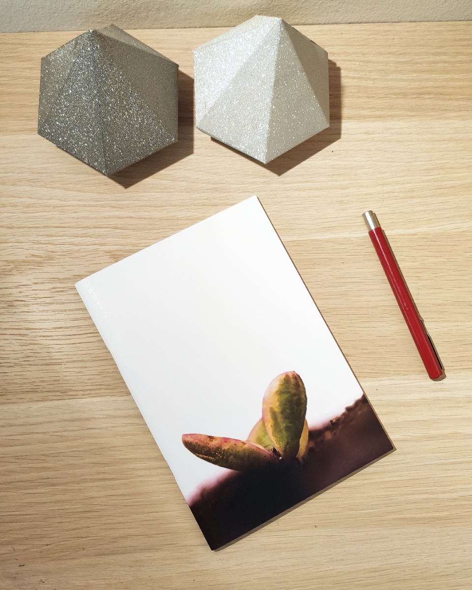 Flower notebook, blank paper notebook, A5 notebook, stationery, nature lover gift, back to school, photography notebook, succulent art