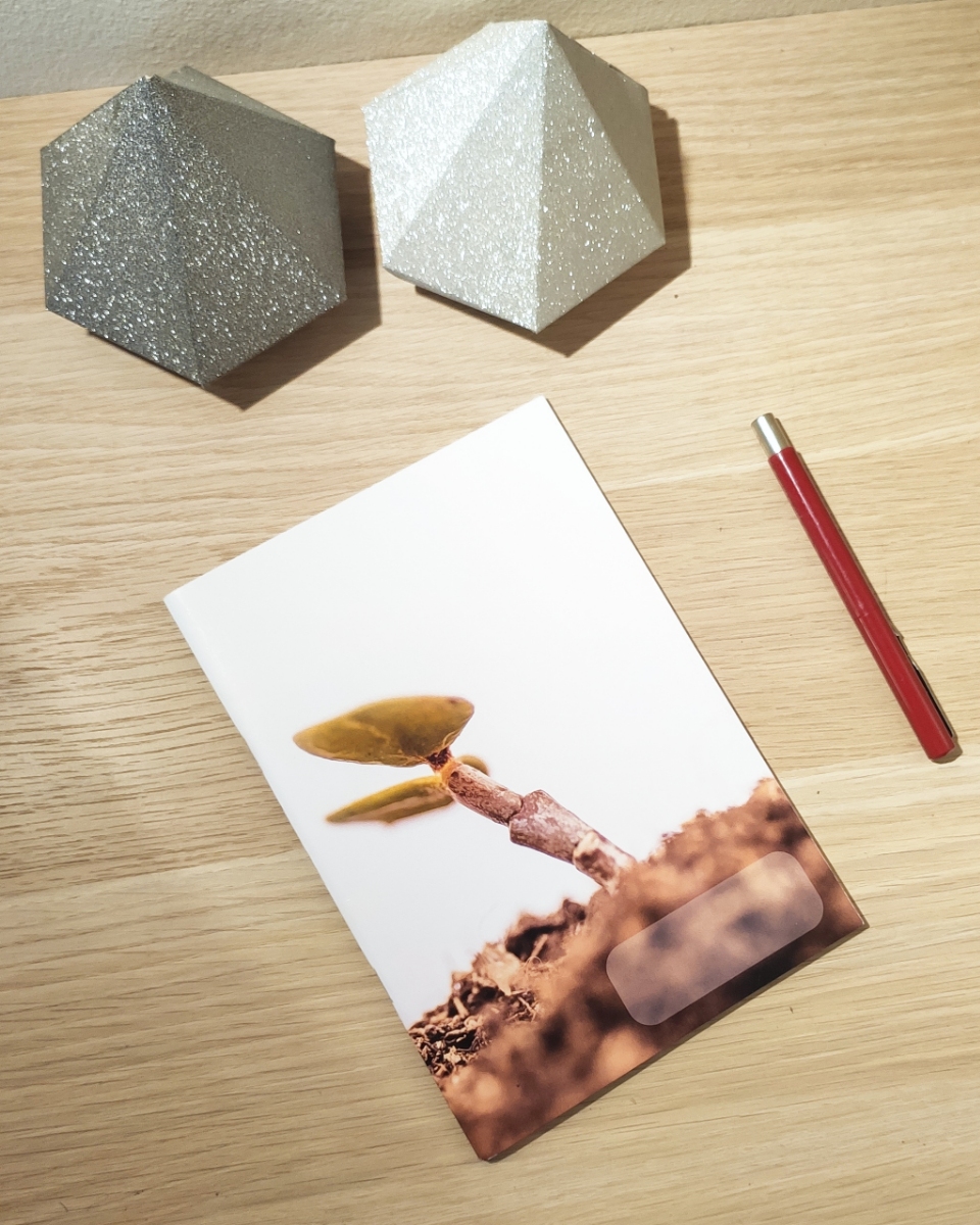 Flower notebook, A5 notebook, blank paper notebook, nature notebook, back to school notes, nature lover gift, journal, diary, succulent art