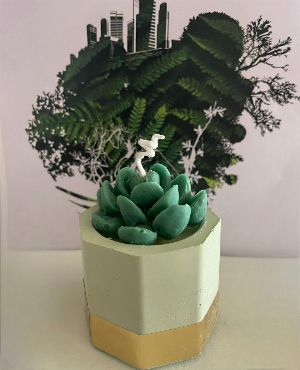 Αρωματικό κερί κάκτος, σε χειροποίητο γλαστράκι