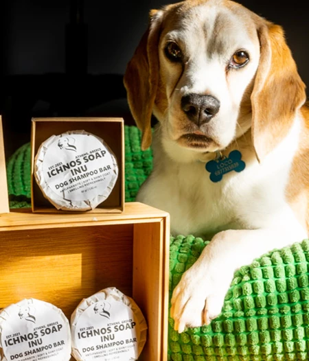 DOG SHAMPOO BAR | INU