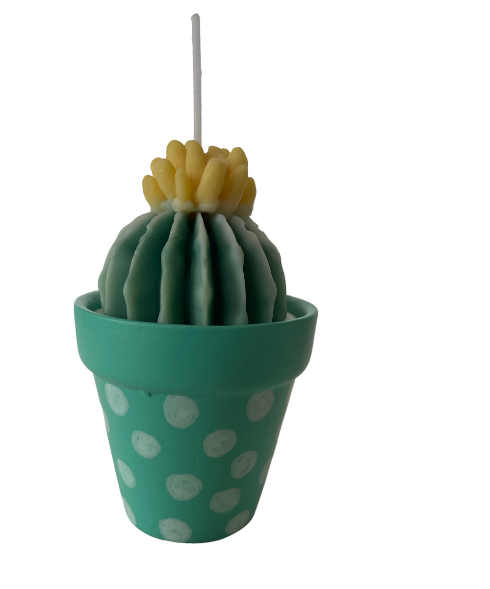Κεραμικό γλαστράκι με κερί κάκτος
