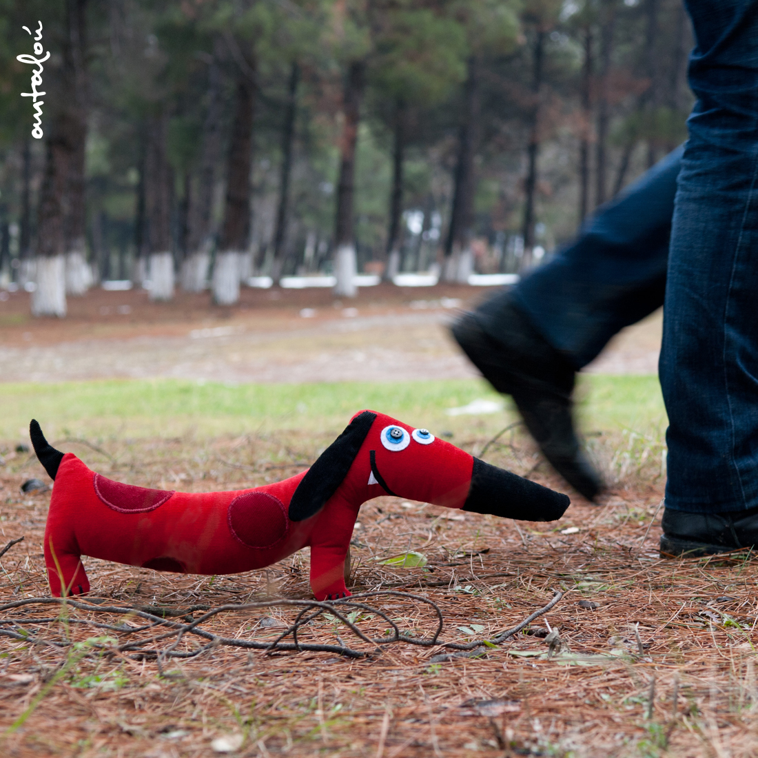 Hot Dog or dachshund?!