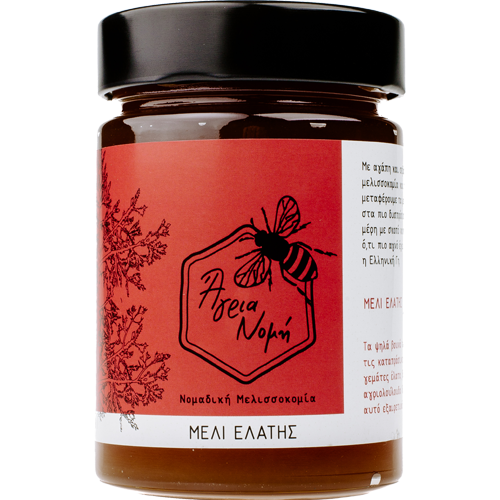 Μέλι Ελάτης 450gr