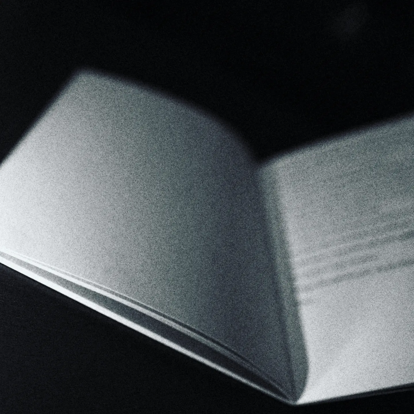 Black photo on white frame zine