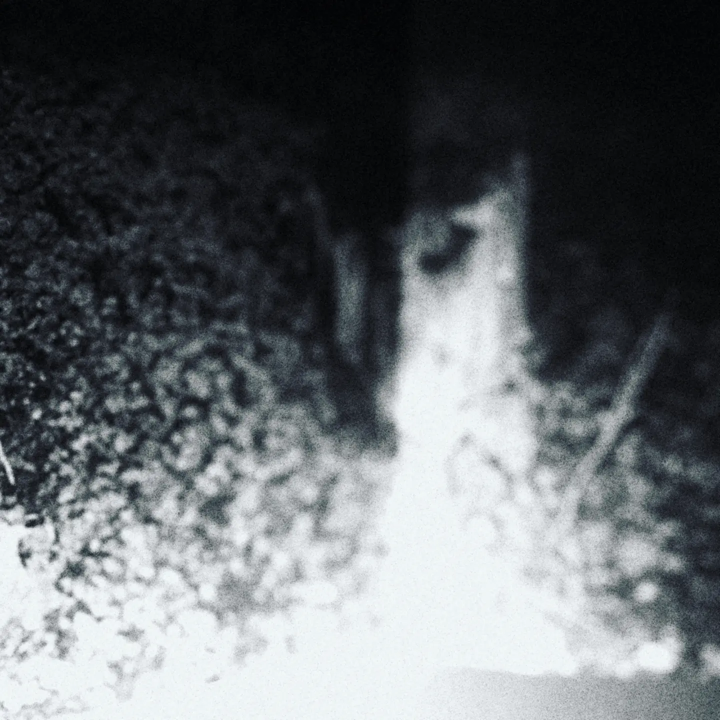 Black photo on white frame zine