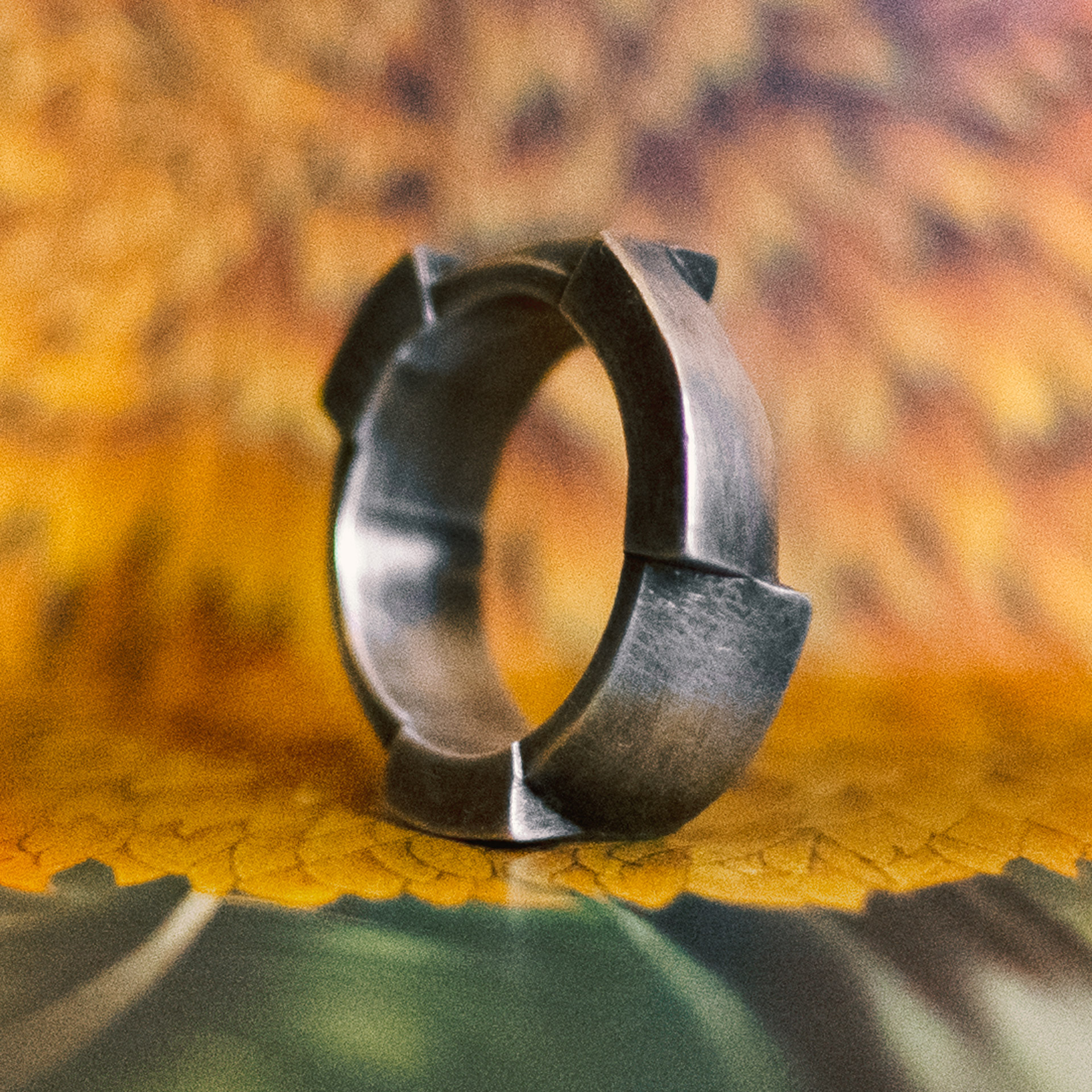 Cog ring
