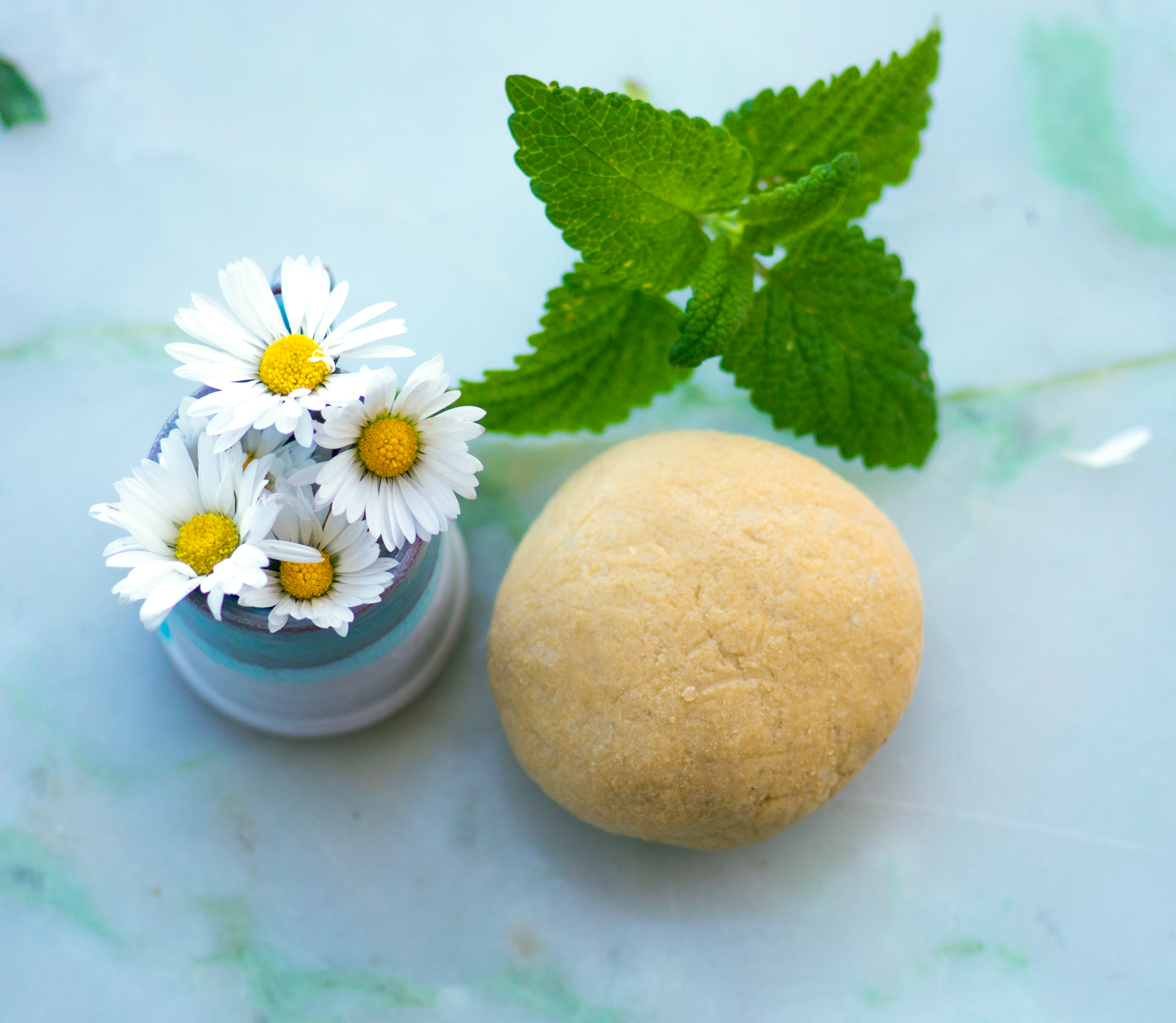 Organic shampoo bar
