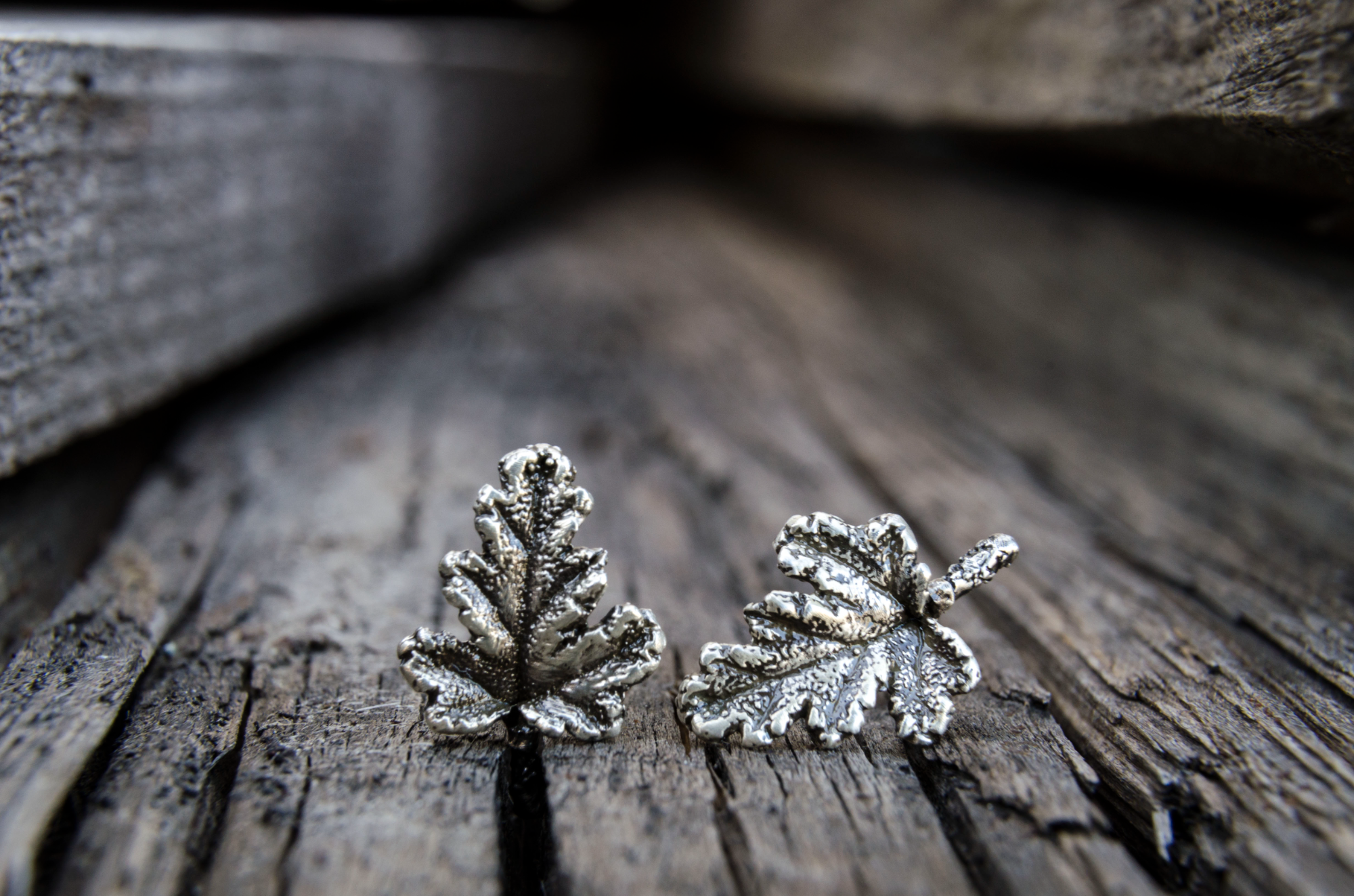 Σκουλαρίκια φύλλο αρμπαρόριζας