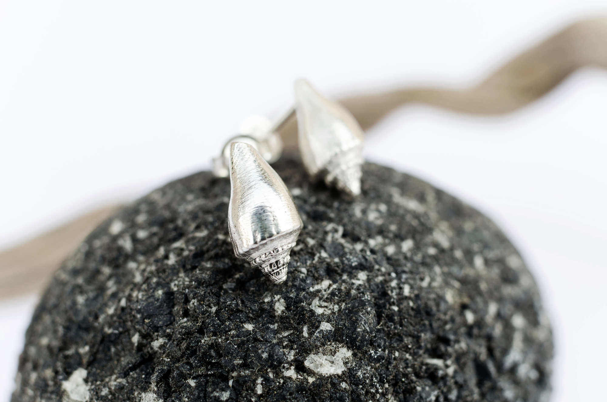 Large smooth shell earrings