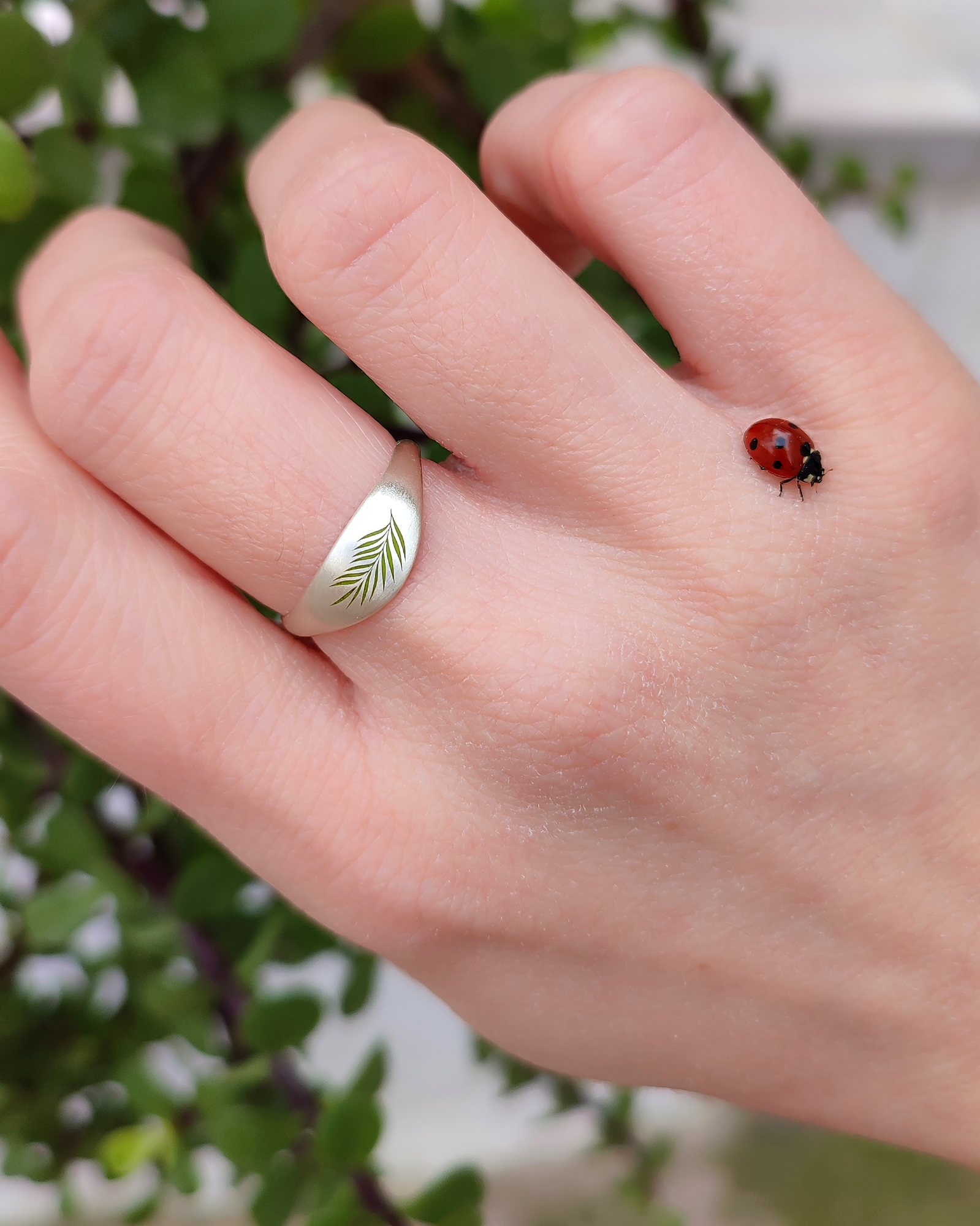 Ασημένιο δαχτυλίδι 'Palm leaf' 