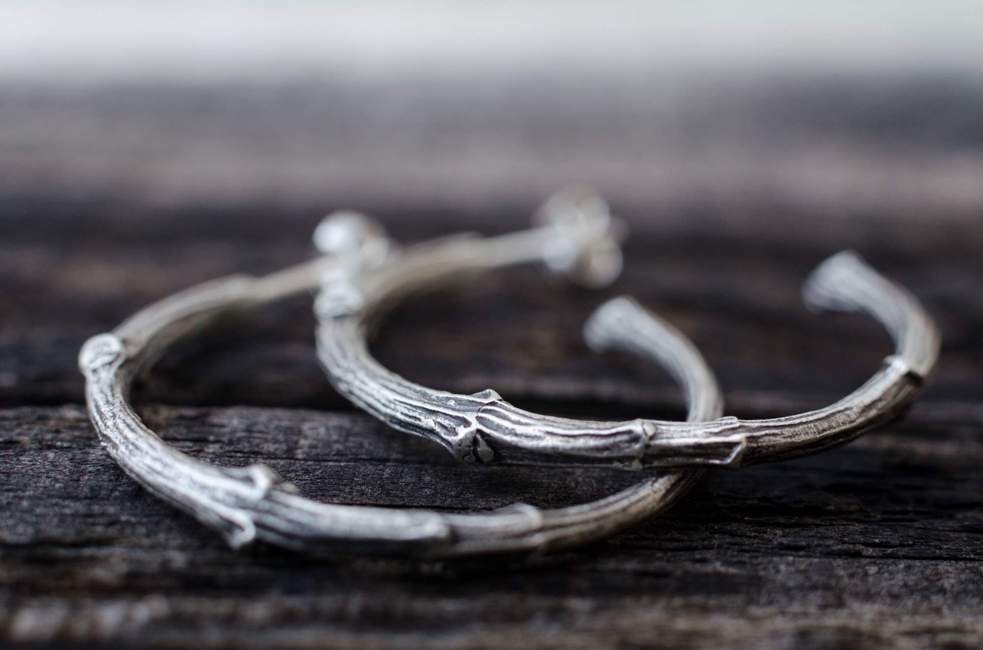 Silver hoops branch